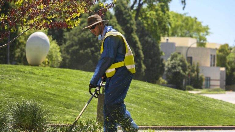 Groundskeeper Jobs in Canada With Free Visa Sponsorship | Eligibility + Application