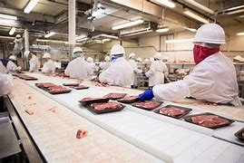 Meat Packer Jobs in Canada With Free Visa Sponsorship | Eligibility + Application